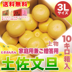 高知県産・土佐文旦・まるけん（丸研）または光（ひかり）ブランドの良品限定・家庭用兼ご贈答用（上物）・大箱（～10kg）・3Lサイズ【送料無料】