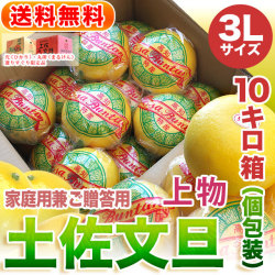 高知県産・土佐文旦・まるけん（丸研）または光（ひかり）ブランドの良品限定・家庭用兼ご贈答用（上物）・10kg・3Lサイズ・ギフト個包装