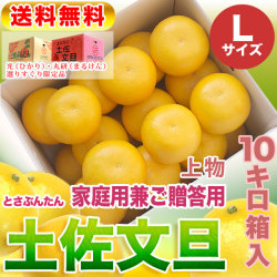 高知県産・土佐文旦・まるけん（丸研）または光（ひかり）ブランドの良品限定・家庭用兼ご贈答用（上物）・大箱（～10kg）・Lサイズ【送料無料】