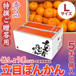 立目（たちめ）ぽんかん（低しょう系）秀品・特撰ご贈答用・5kg箱・Lサイズ【送料無料（関東～九州）】