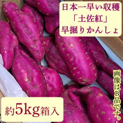 早掘りかんしょ・土佐紅・味良しＢ品～Ａ品・5kg箱入