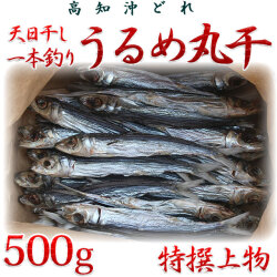 高知沖どれ「天日干し・一本釣りうるめいわし丸干し」・特撰上物・500g【送料無料（関東～九州）】