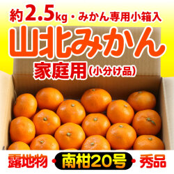 山北みかん・露地もの・南柑20号・赤秀品（ご家庭用）・2.5kgみかん箱（小分け品）【送料無料】