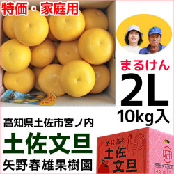 まるけん土佐文旦・ご家庭用・2Lサイズ・大箱（～10kg）・矢野春雄果樹園【送料無料】