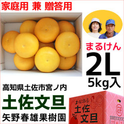 まるけん土佐文旦・家庭用兼ご贈答用・2Lサイズ・中箱（～5kg）・矢野春雄果樹園【送料無料】