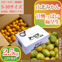 山北みかん・甘酸っぱい極早生・赤秀品以上・2.5kg箱（小分け品）・S～Mサイズ【送料無料（関東～九州）】