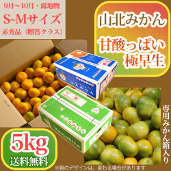 山北みかん・甘酸っぱい極早生・赤秀品・5kg箱・S～Mサイズ【送料無料（関東～九州）】