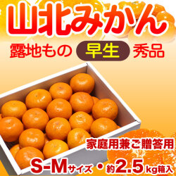 山北みかん・早生・約2.5kg箱入り・S-Mサイズ