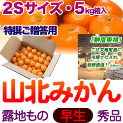 【送料無料】生産者厳選・山北みかん・露地もの・早生・秀品（特撰ご贈答用）・5kg箱・2Sサイズ