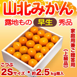 【送料無料】生産者厳選・山北みかん・露地もの・早生・秀品（家庭用兼ご贈答用＝上級品）・約2.5kg箱・こつぶ２Sサイズ