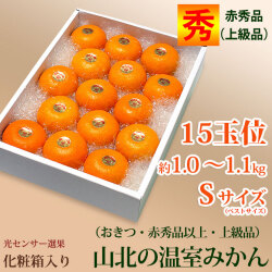 山北温室みかん（おきつ系品種・赤秀品・ご贈答ハウスみかん）約1.0～1.1kg（約15玉）・Sサイズ