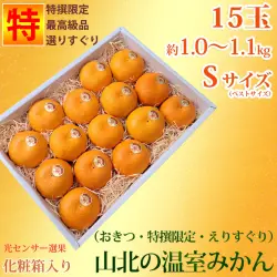 山北温室みかん（おきつ系・特撰限定えりすぐり・ご贈答ハウスみかん）約1.0～1.1kg（約15玉）・ハイクラス・Sサイズ