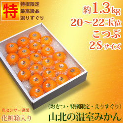 山北の温室みかん（おきつ系・特撰限定えりすぐり・贈答ハウスみかん）約1.3kg入・ハイクラス・小粒2Sサイズ【送料無料（関東～九州）】