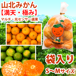 山北みかん・満天・極み・袋入り
