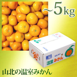 山北の温室みかん（極早生～早生・赤秀品以上・えりすぐり）・～5kg（大箱）・みかん箱入り・Ｓサイズ【送料無料（関東～九州）】