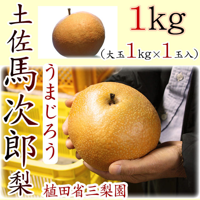 摘果梨　梱包後15キロ位　1キロ5〜6玉 fit=scale-down,w=1200