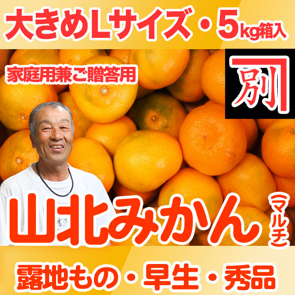 龍様　山北みかん5キロ 山北みかん 5kg ご家庭用蜜柑 2Sサイズ 小粒みかん 高知産