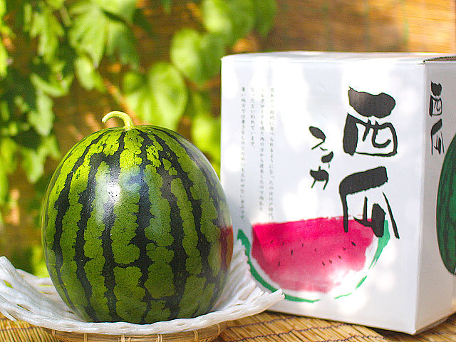 特撰高級西瓜（スイカ）・甘湧（かんゆう）・1玉