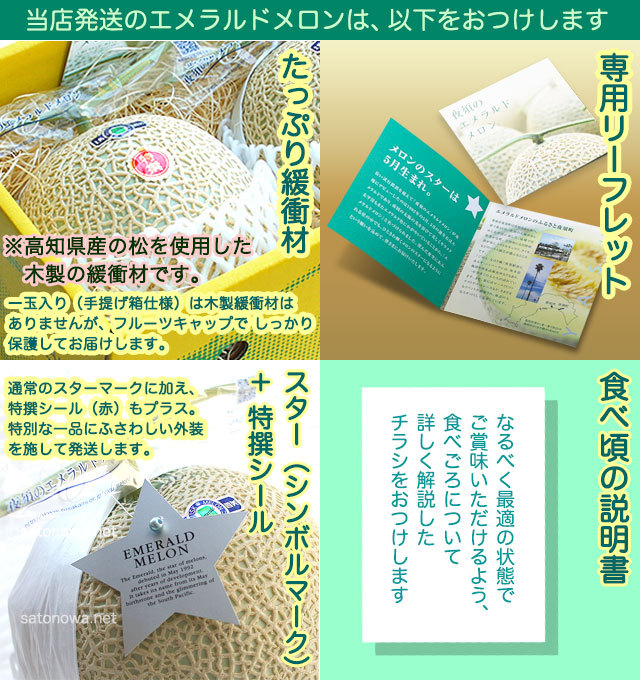 メロンと温室みかん 高知果物詰め合わせ さとのわ