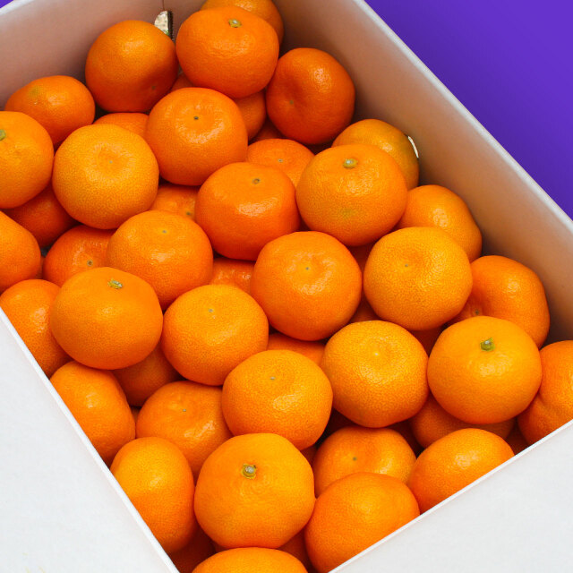 ハウスみかん・ご贈答用・約5kg箱入 