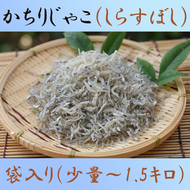 しらす干し・（土佐かちり／上干ちりめんじゃこ）・～1.5kg大袋入