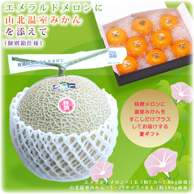 エメラルドメロン山北温室みかん 夏ギフトさとのわ