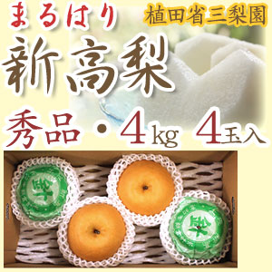 梨　新高梨　40玉　　03 新高梨（高知針木産）秀1.6kg2玉販売