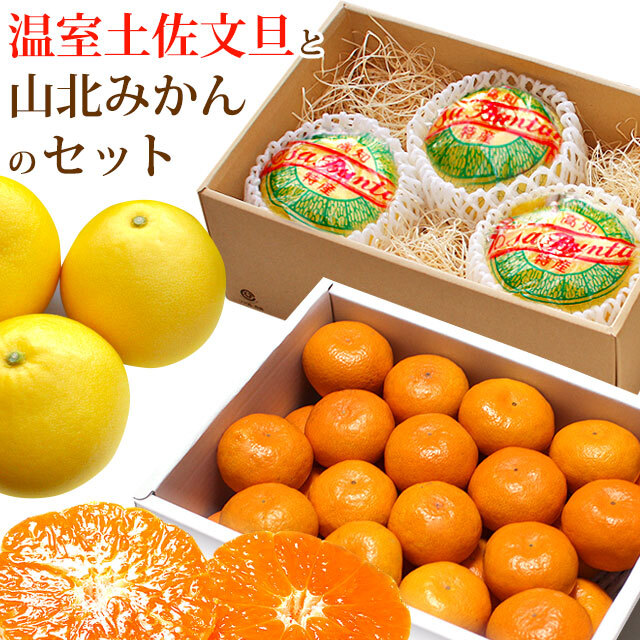 うーたろう 水晶文旦3kg 小粒山北みかん5kg 100円OFFクーポン みかん 山北みかん 高知産 約5kg 蜜柑 温州みかん