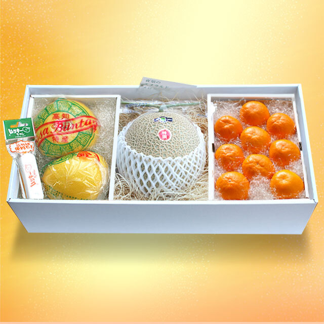［メグえもん］14点おまとめご購入品 エメラルドメロン山北みかん温室文旦セット