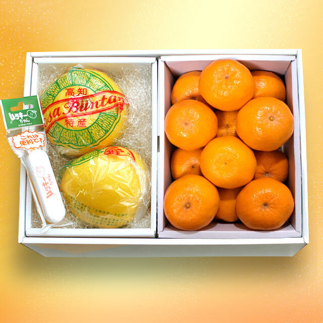 ぽんかん（味良し）と温室土佐文旦のフルーツセット