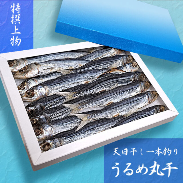 一本釣りうるめ丸干 土佐天日干しウルメ・400g化粧箱入り
