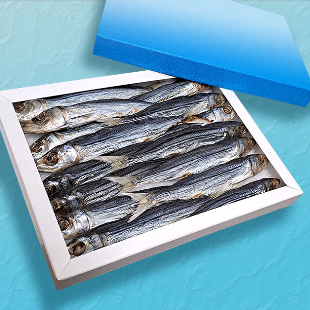 一本釣りうるめ丸干 土佐天日干しウルメ・400g化粧箱入り