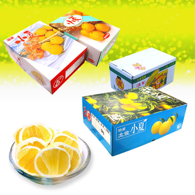 土佐小夏5kg - 小粒2Sサイズ - ハウス栽培品 - 上物