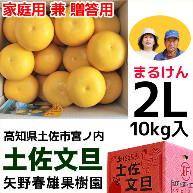梅桃桜子 高知特産 土佐文旦 5L10キロ2箱ご家庭用 土佐文旦まるけん 家庭用贈答用 送料無料さとのわ