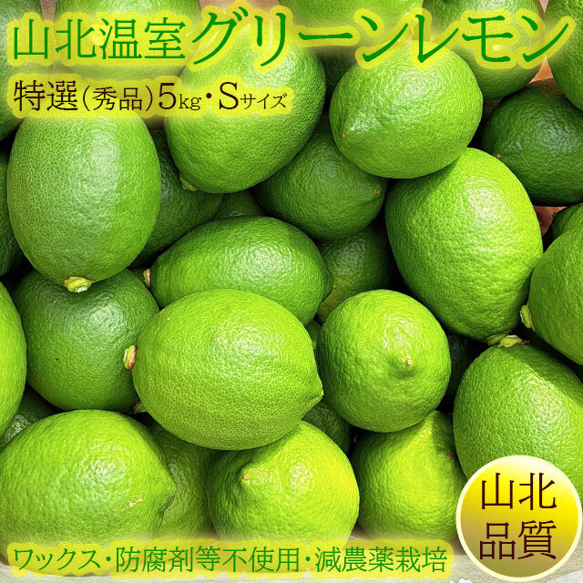 山北の温室グリーンレモン（ハウス栽培）秀品5kg箱・Sサイズ