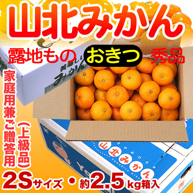山北みかん約2.5kgおきつ2Sサイズ（小粒）