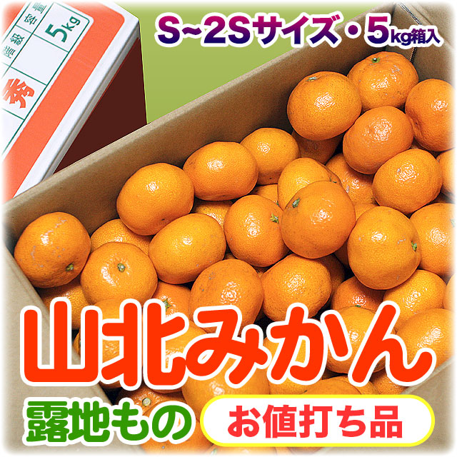 山北みかん・お値打ち品（セール特価）・5kg箱入り
