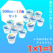 高知のアイスクリン「１×１（いちかけるいち）・アイス」100cc12個バラエティーセット