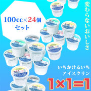 高知のアイスクリン「1×1＝1（いちかけるいち）」100cc24個バラエティーセット