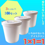 高知のアイスクリン「1&times;1＝1（いちかけるいち）」選べる業務用・3リットル&times;3個セット