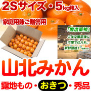 生産者厳選・山北みかん・露地もの・興津（おきつ）・秀品（家庭用兼ご贈答用＝上級品）・5kg箱・2Sサイズ【送料無料（関東～九州）】
