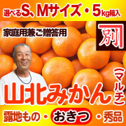 【産地直送】別役さんちの山北マルチ栽培みかん・露地もの・興津（おきつ）・秀品（家庭用兼ご贈答用）・5kg・選べるS、Mサイズ【送料無料（関東～九州）】