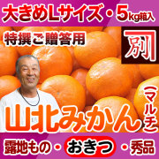 【産地直送】別役さんちの山北マルチ栽培みかん・露地もの・興津（おきつ）・秀品（特撰ご贈答用）・5kg・大きめLサイズ【送料無料（関東～九州）】