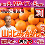 【産地直送】別役さんちの山北マルチ栽培みかん・露地もの・興津（おきつ）・秀品（特撰ご贈答用）・5kg・選べるS、Mサイズ【送料無料（関東～九州）】
