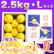 まり　高知産 ハウス小夏 3L 5Kgx2　１７玉前後　家庭用 小夏（ハウス栽培品）・特選・ご贈答クラス