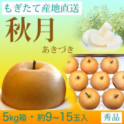 秋月梨（あきづきなし）秀品5kg・9～15玉入り【産地直送】