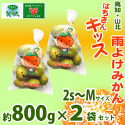 雨よけみかん・はちきんキッス・高知・山北・光センサー選果・800g&times;2袋セット・2S～Mサイズ【送料無料】