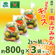 雨よけみかん・はちきんキッス・高知・山北・光センサー選果・800g&times;3袋セット・2S～Mサイズ【送料無料】