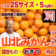 【産地直送】別役さんちの山北マルチ栽培みかん・露地もの・興津（おきつ）・秀品（家庭用兼ご贈答用）・5kg・2Sサイズ【送料無料（関東～九州）】