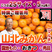 【産地直送】別役さんちの山北マルチ栽培みかん・露地もの・興津（おきつ）・秀品（特撰ご贈答用）・5kg・2Sサイズ【送料無料（関東～九州）】